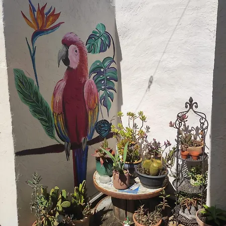 Maison D'artiste Avec Terrasse Ensoleillee Et Charme Du Sud - Linge De Lit Et Serviettes Non-inclus Le Pouget
